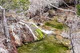 Colorado Bend SP Mar 2021
